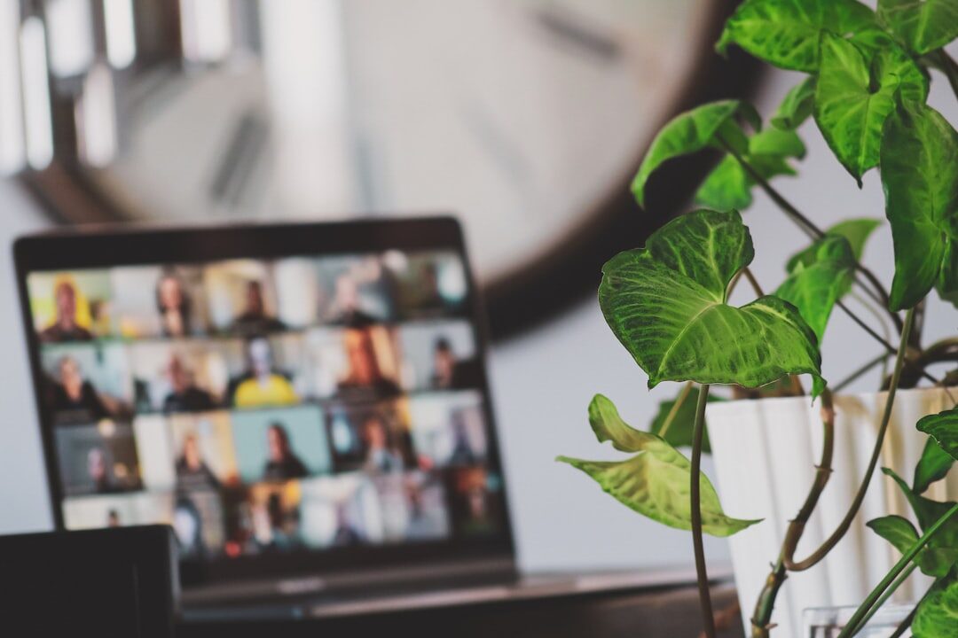 Online virtual conference on screen